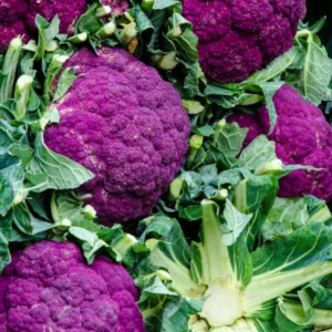 Cauliflower Di iVioletto (Violet Cauliflower) Seeds