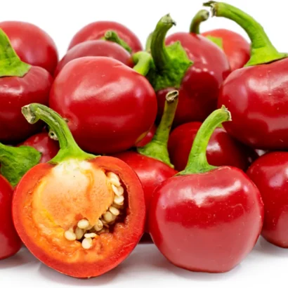 Chilli Hot Pepper Round Shaji 115 (Mirapakaya) Seeds