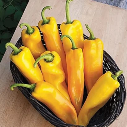 Chilli Hot Pepper Yellow Desire (Mirapakaya) Seeds