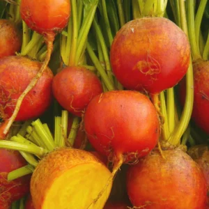 Imported Golden Beet Root Seeds