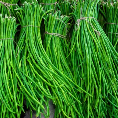 Harvested Imported Yard Long Beans in Basket – Fresh Long Green Pods Ready for Cooking or Sale