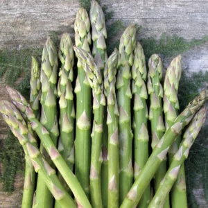 Asparagus Mary Washington