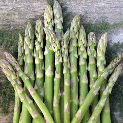 Asparagus Mary Washington