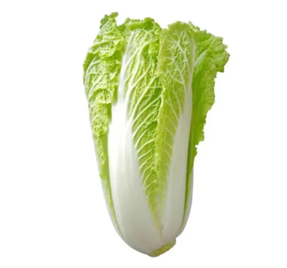 Chinese Cabbage Imported Granaat