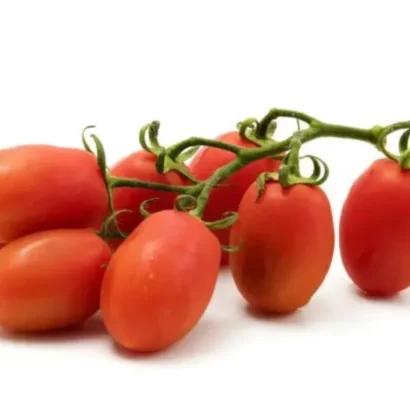 Tomato Roma VF