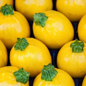 Tomato Plum Yellow