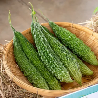 Bitter Gourd Santur Seeds