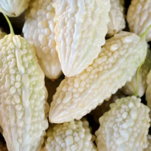 Bitter Gourd White Long Seeds