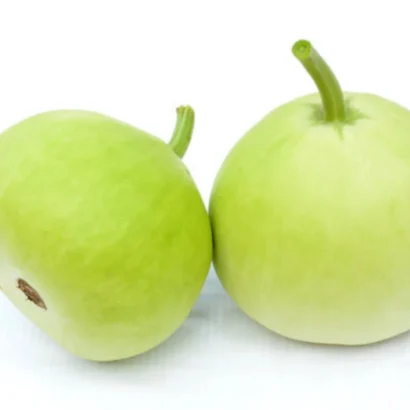 Bottle Gourd Round (Sorakaya / Amapakaya) Seeds