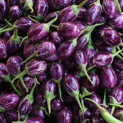Brinjal CVK MK 124 (Sarala Vankay) Seeds