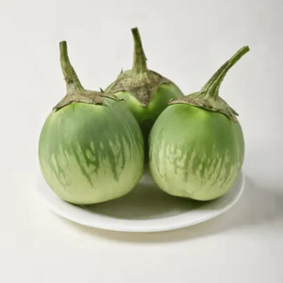 Brinjal Green OS 995