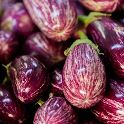 Brinjal MK 24 (Sarala Vankaya) Seeds