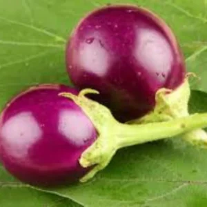 Brinjal Round (Round Vankaya) Seeds