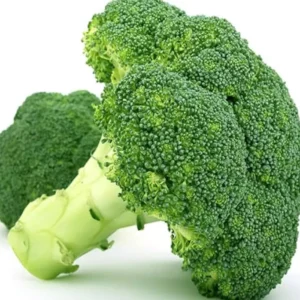 Broccoli Anastya Seeds