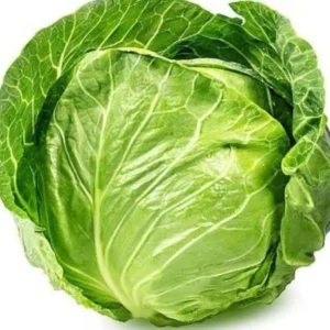 Cabbage Deep Shikha Seeds