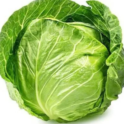 Cabbage Deep Shikha Seeds