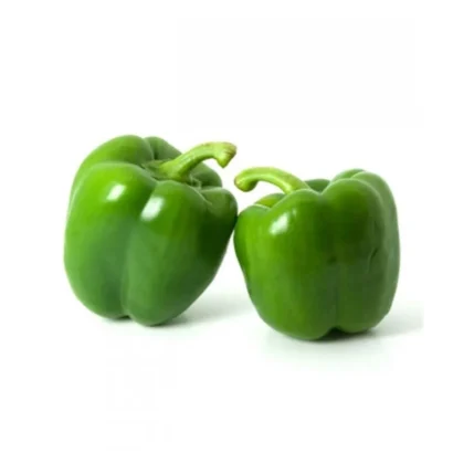 Capsicum Andhra 115 Seeds