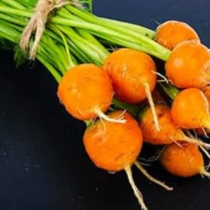 Carrot Round Nantes Seeds