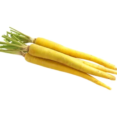 Carrot Yellow Taborska Z (Yellow Carrot) Seeds