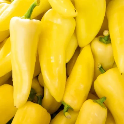 Chilli Hot Pepper Yellow Desire (Mirapakaya) Seeds