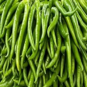 Chilli Jwala Pariksha (Mirapakaya) Seeds