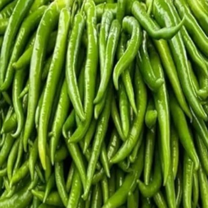 Chilli Jwala Pariksha (Mirapakaya) Seeds