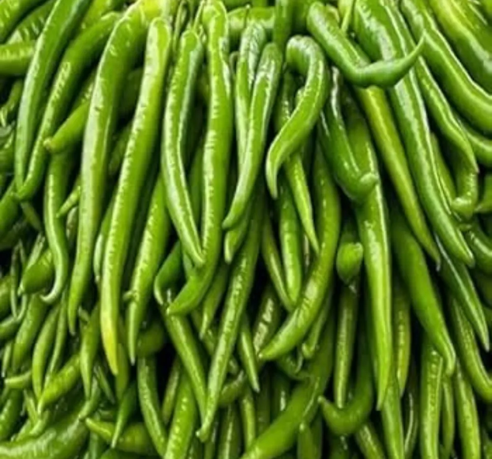 2 Chilli Jwala Pariksha (Mirapakaya) Seeds