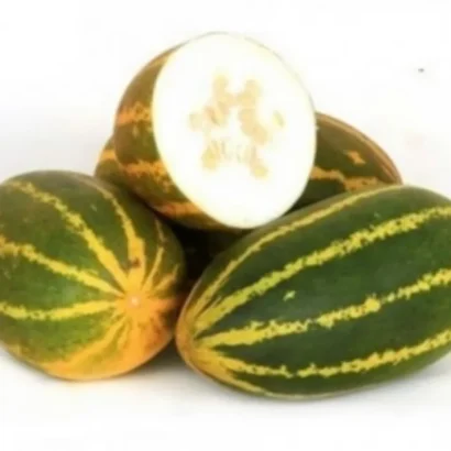 Cucumber Samber (Sambar Dosakaya) Seeds