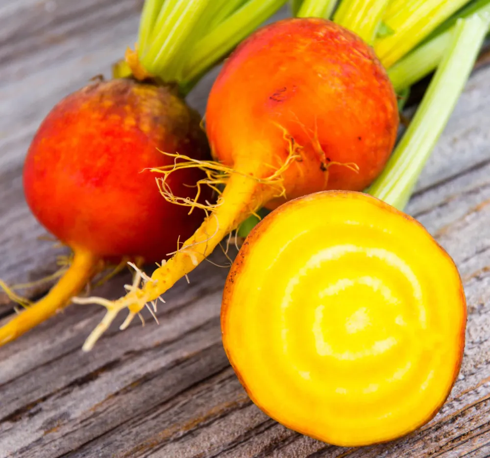 Imported Golden Beet Root Seeds