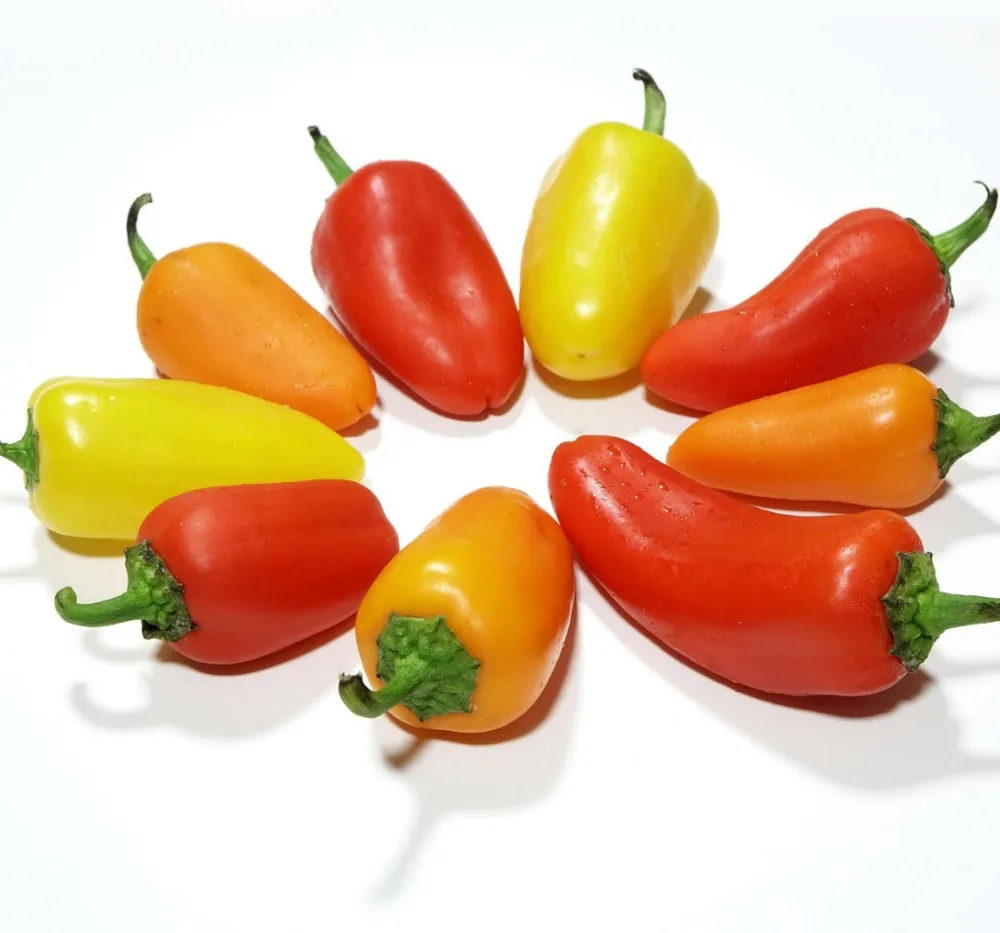 2 Summer Squash AAyan