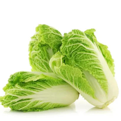 Chinese Cabbage Imported Granaat