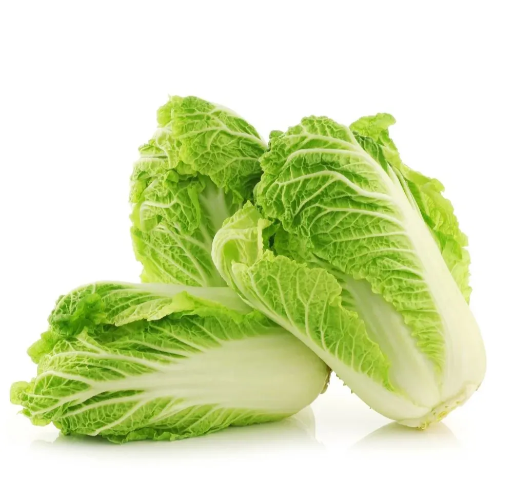 2 Chinese Cabbage Imported Granaat