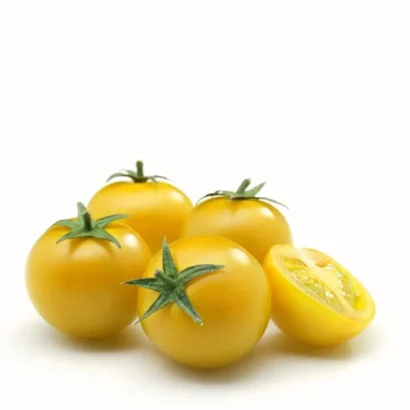 Tomato Oblate Yellow