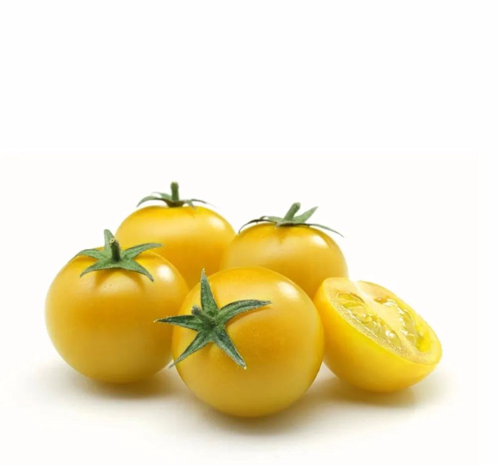 Tomato Oblate Yellow