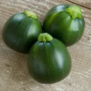 Summer Squash Chappan Kaddu