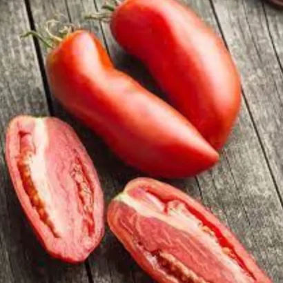 Tomato San Marzano 3 Seeds