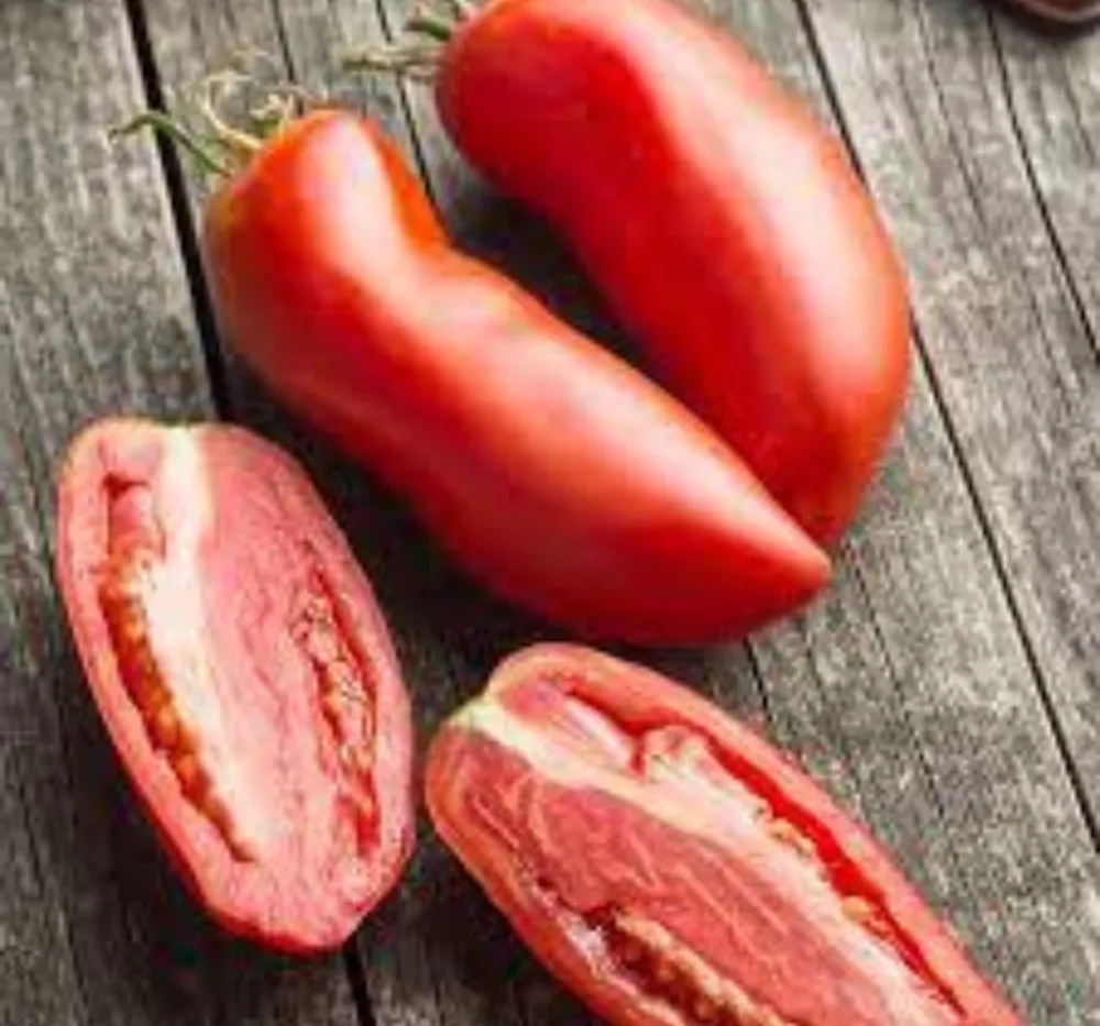 Tomato San Marzano 3 Seeds