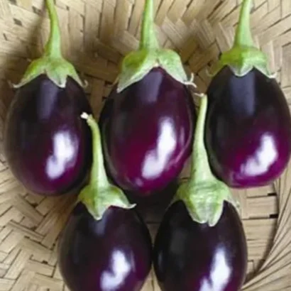 Brinjal Dipansh Black Round (Nalla Vankaya) Seeds