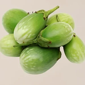Brinjal Green OS 995