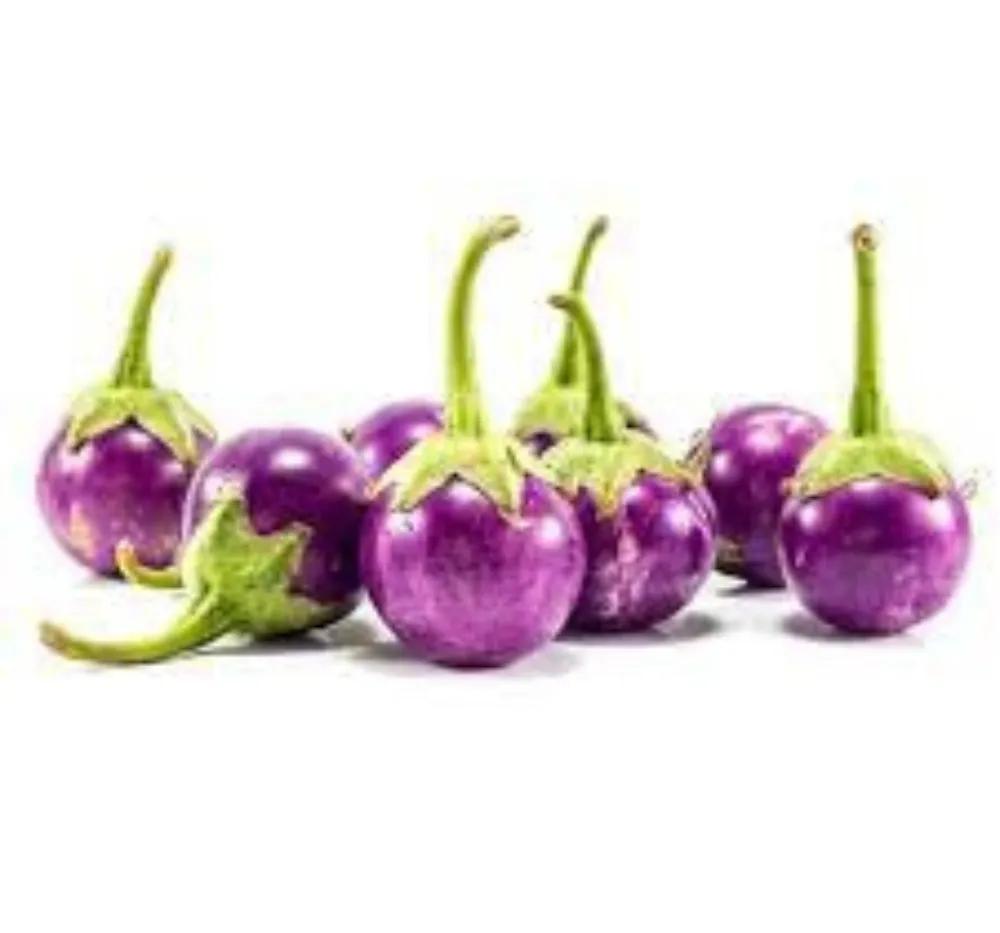 Brinjal Round (Round Vankaya) Seeds