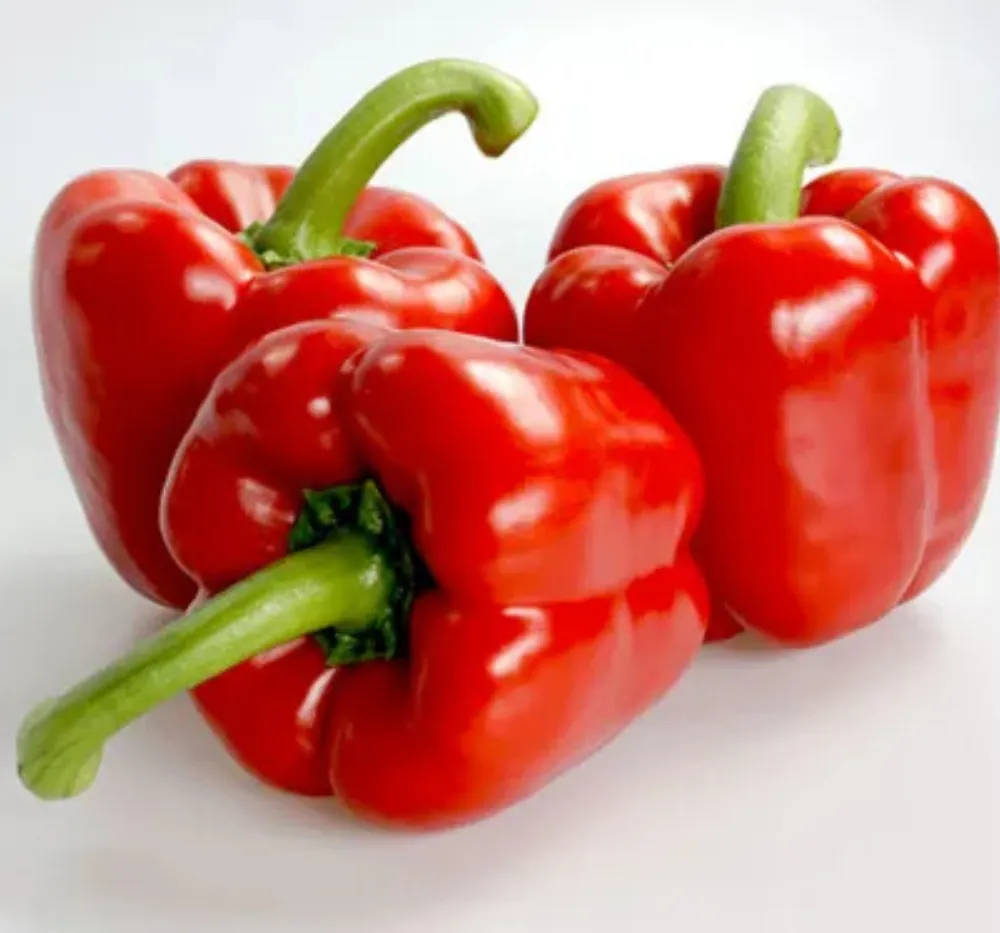 2 Capsicum Red Seeds