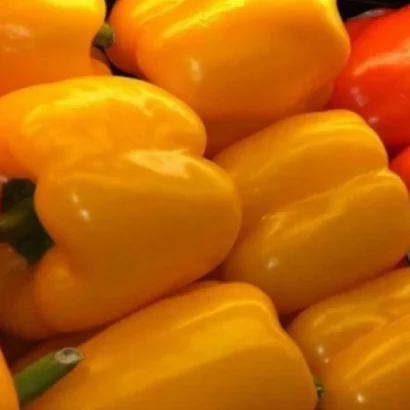 Capsicum Yellow Seeds