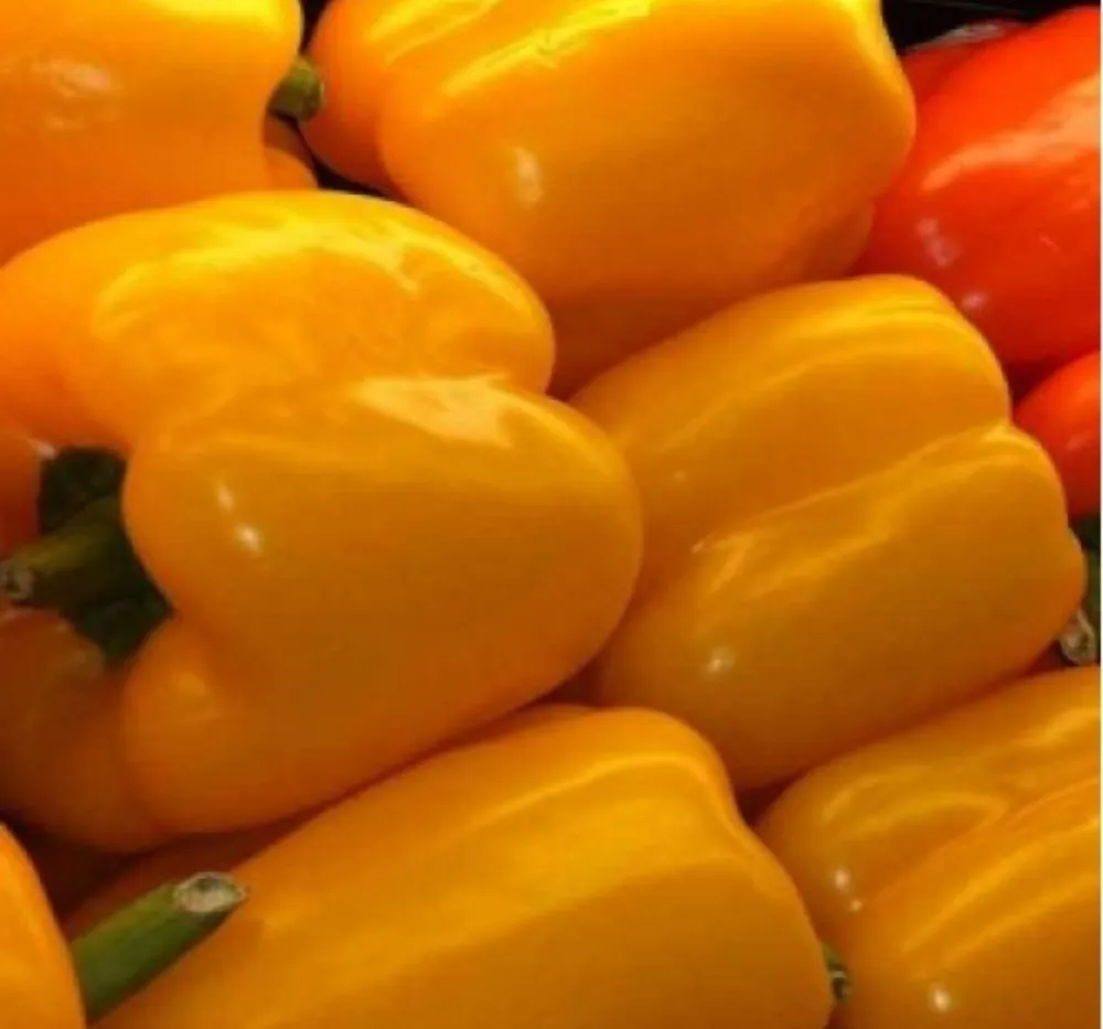 2 Capsicum Yellow Seeds