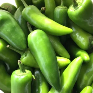 Chilli Jet Civic 5 (Mirapakaya) Seeds