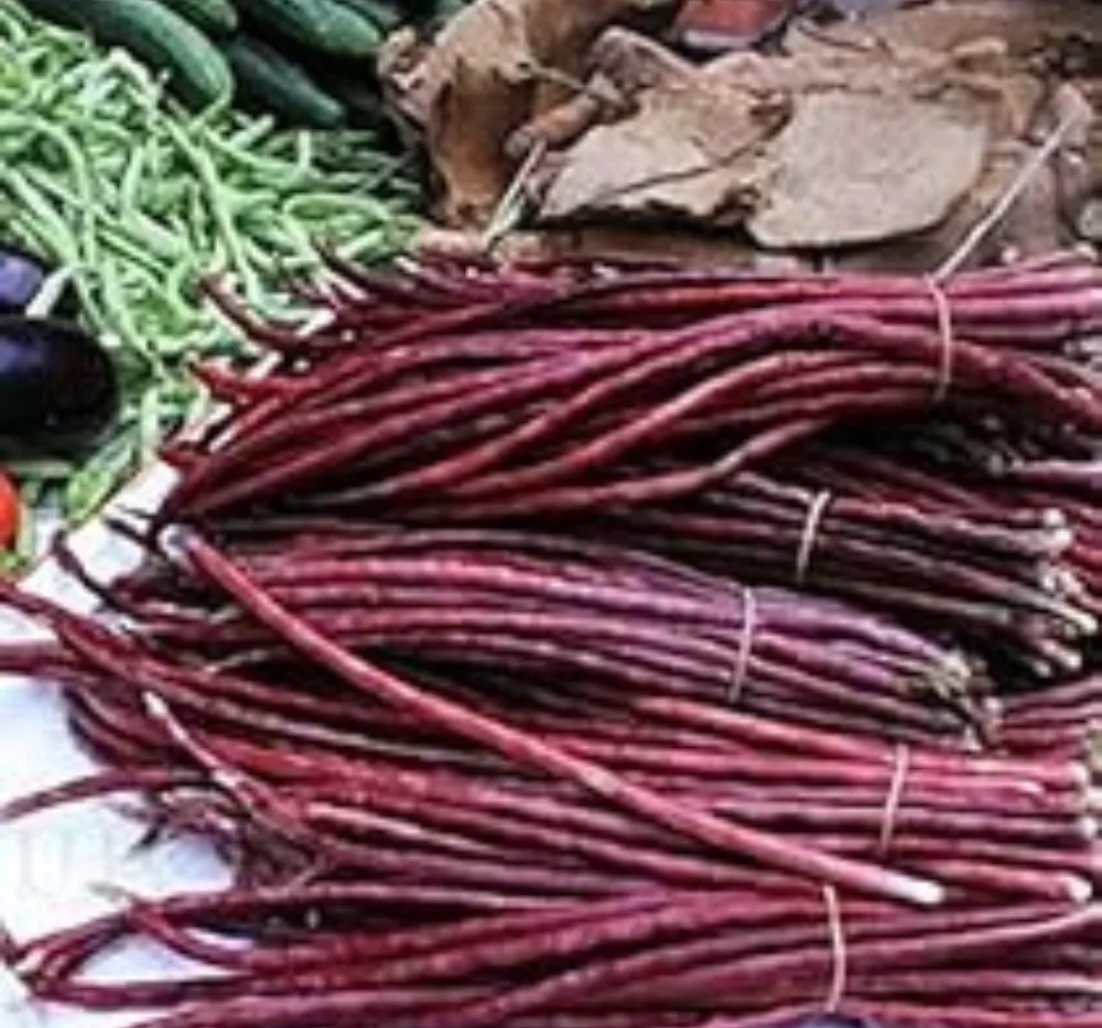 Red Long Beans 15+Seeds