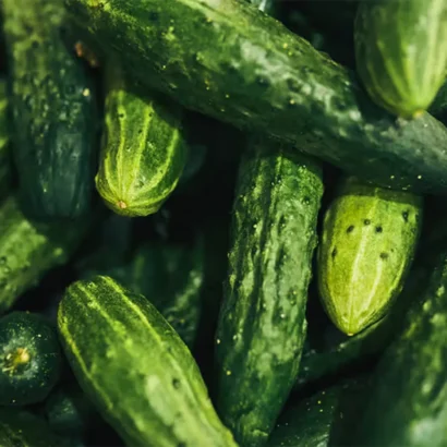 Cucumber American Black Seeds