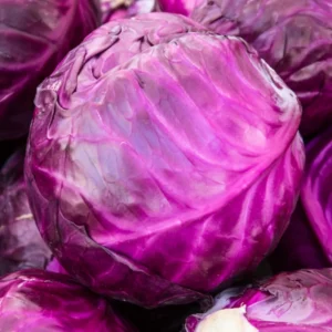 Red Cabbage Imported 30+Seeds
