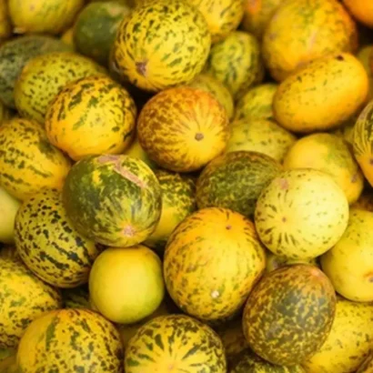 Cucumber Samber (Sambar Dosakaya) Seeds