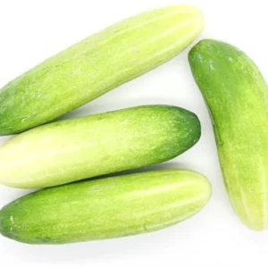 Cucumber Super Salad Plant with Fresh Green Cucumbers – High Yield Vegetable Seeds