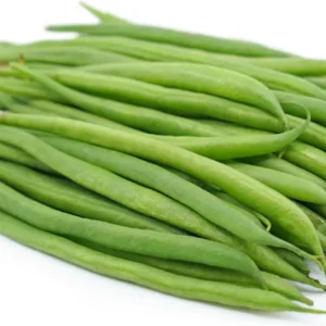 France Beans OS Imported Black Plant with Green Pods – Hybrid Imported Variety for Home Garden and Farm